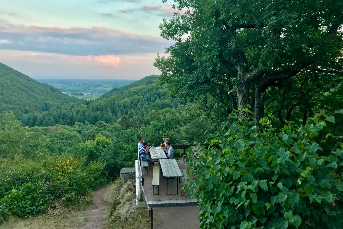 MJB auf der Pfälzer Kiesbuckelhütte am 14.07.2018